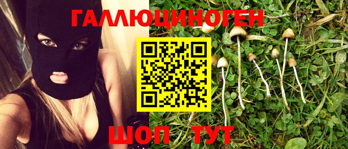 Галлюциногенные грибы мицелий  Вход с VPN  Михайловск 